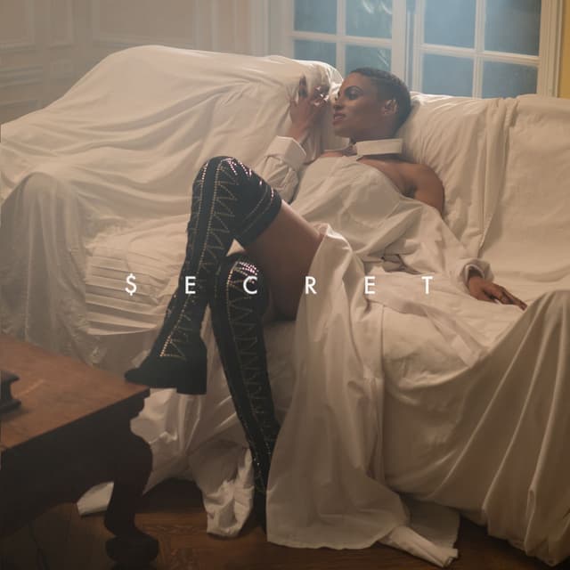 $ecret cover