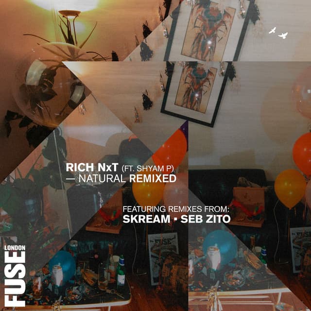 Natural Remixed cover