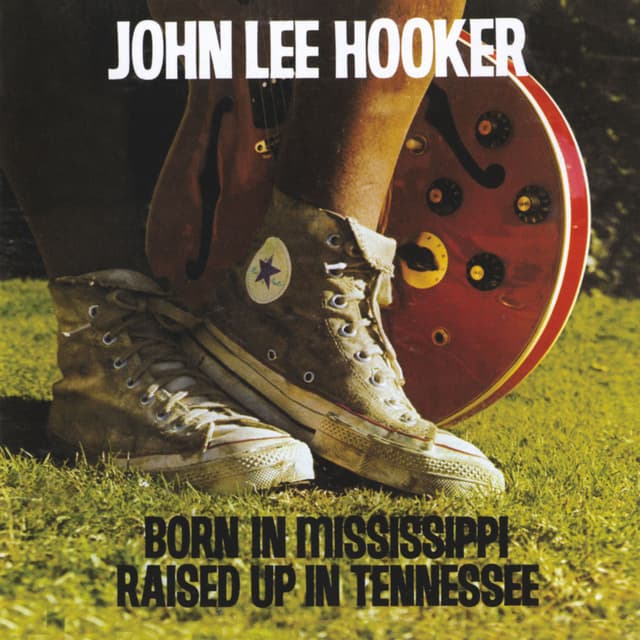 Born In Mississippi, Raised Up In Tennessee cover