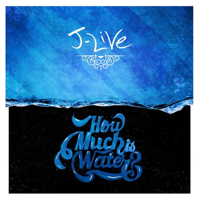 How Much Is Water? cover
