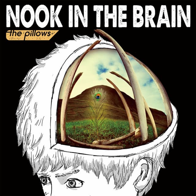 NOOK IN THE BRAIN cover