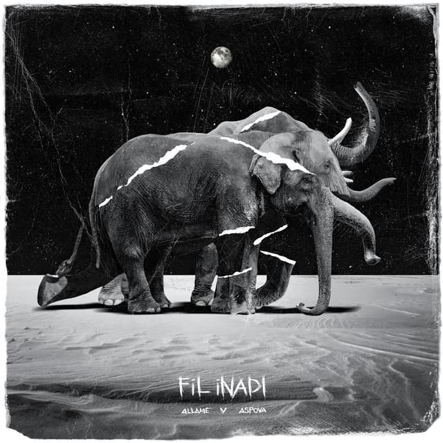 Fil İnadı cover