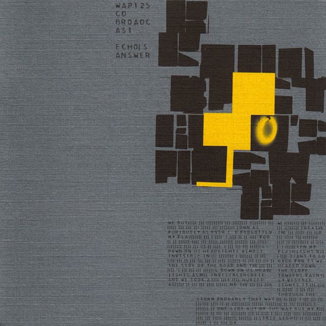 Echo's Answer cover