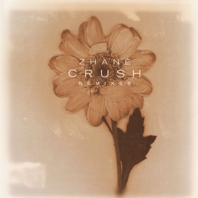 Crush Remixes cover