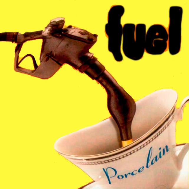 Porcelain cover