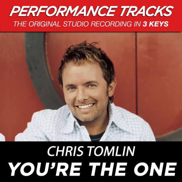 You're The One (Performance Tracks) cover