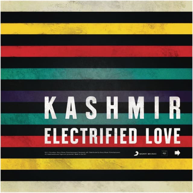 Electrified Love cover