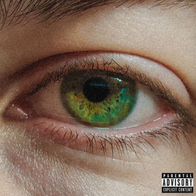 I Still Don't Cry cover