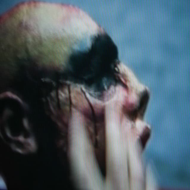 crying album cover