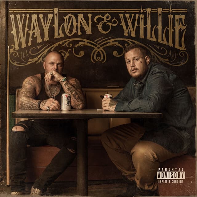 Waylon & Willie cover