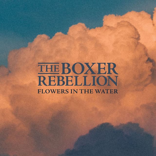 Flowers In The Water cover