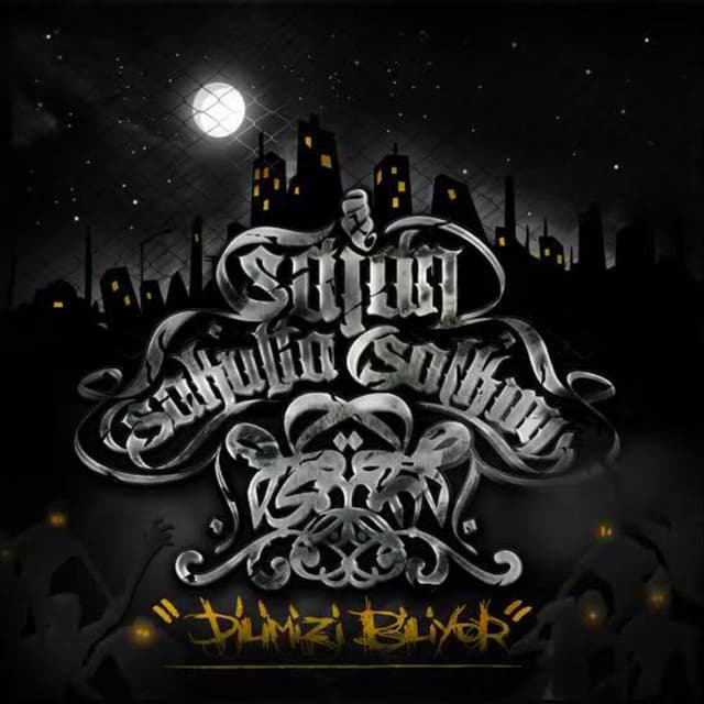 Dilimizi Biliyor cover