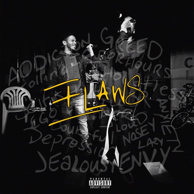 FLAWS cover