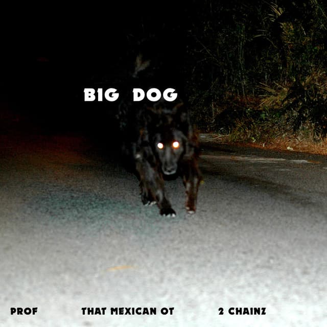 Big Dog cover