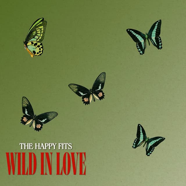 Wild in Love cover