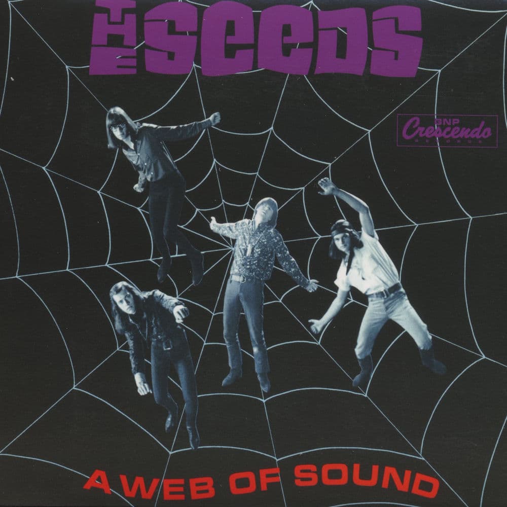 A Web of Sound cover