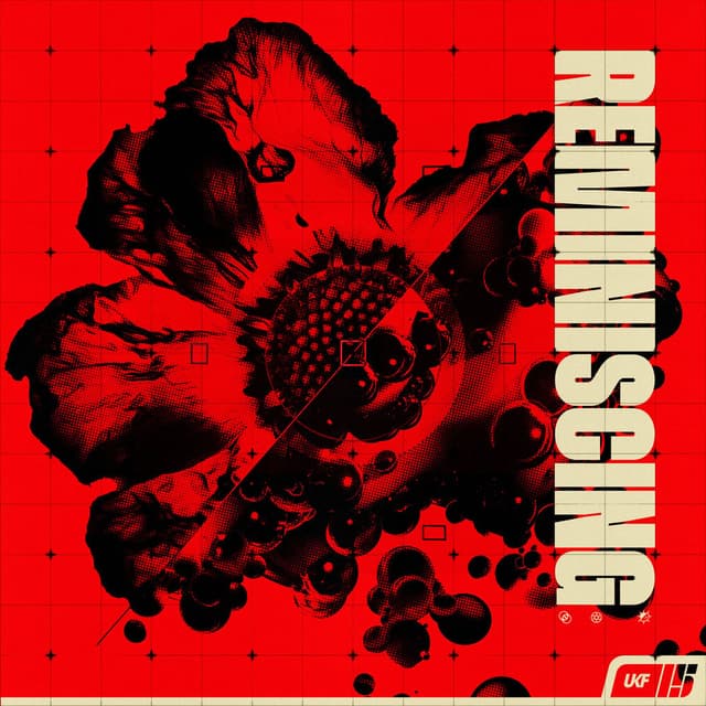 Reminiscing cover