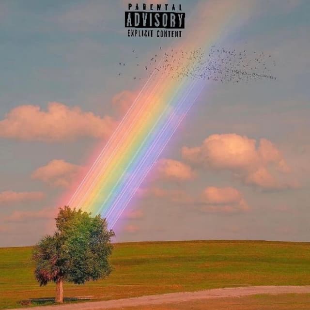 Push/Closer cover