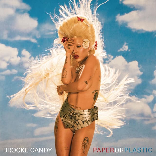 Paper or Plastic cover