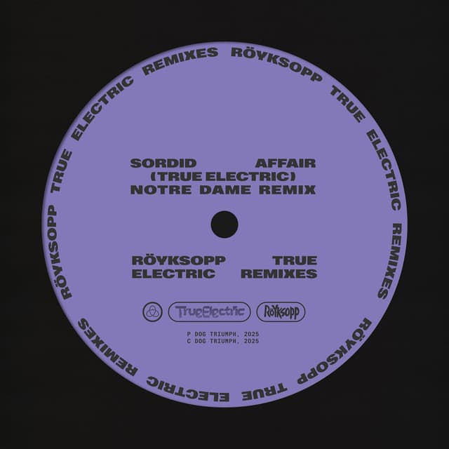 Sordid Affair (Notre Dame Remix) album cover