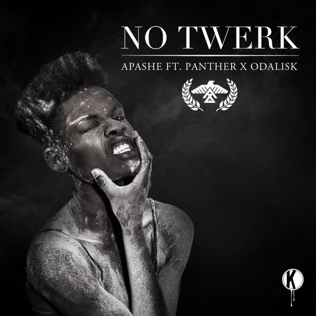 No Twerk cover