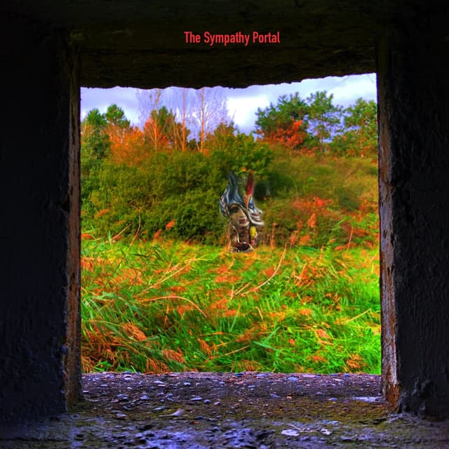 The Sympathy Portal cover