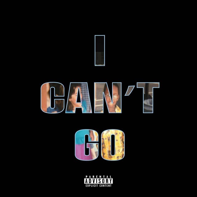 I Can't Go cover