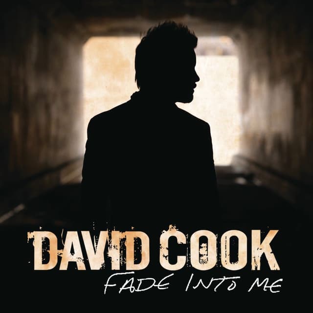 Fade Into Me (Radio Edit) cover