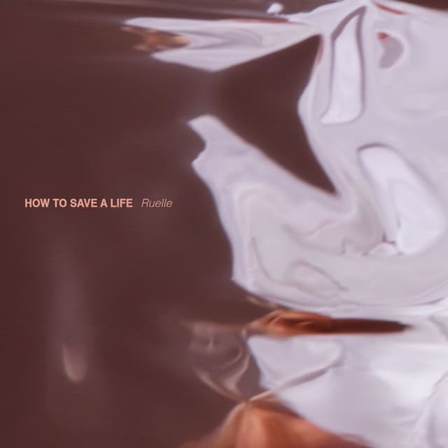 How to Save a Life cover