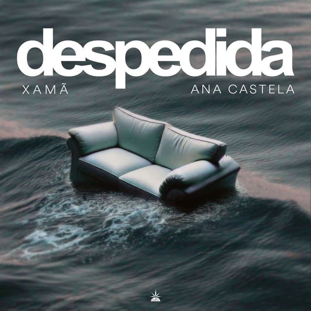 Despedida cover