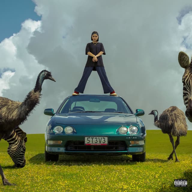 Stella & Steve cover