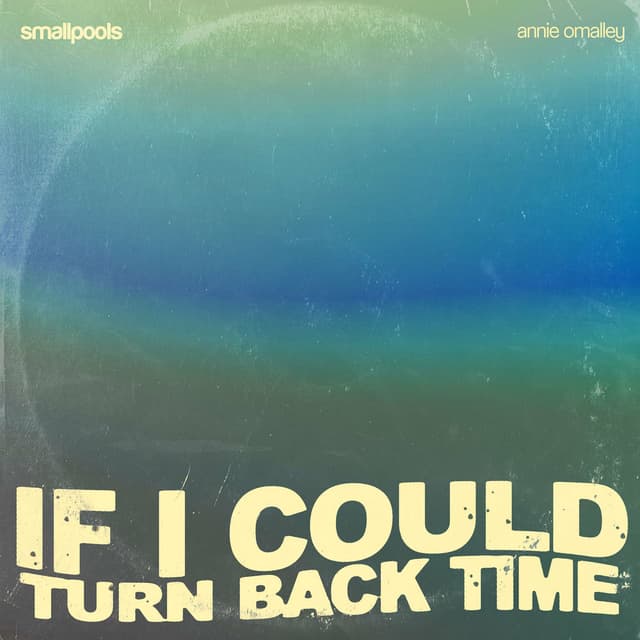 If I Could Turn Back Time cover