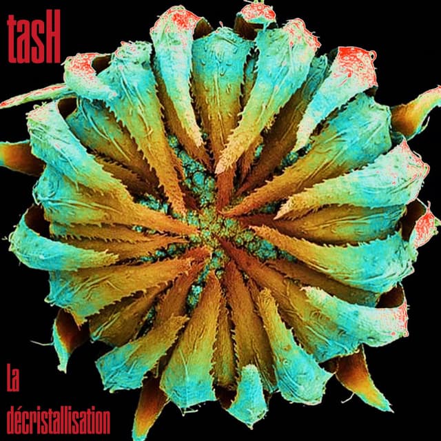 La Décristallisation cover
