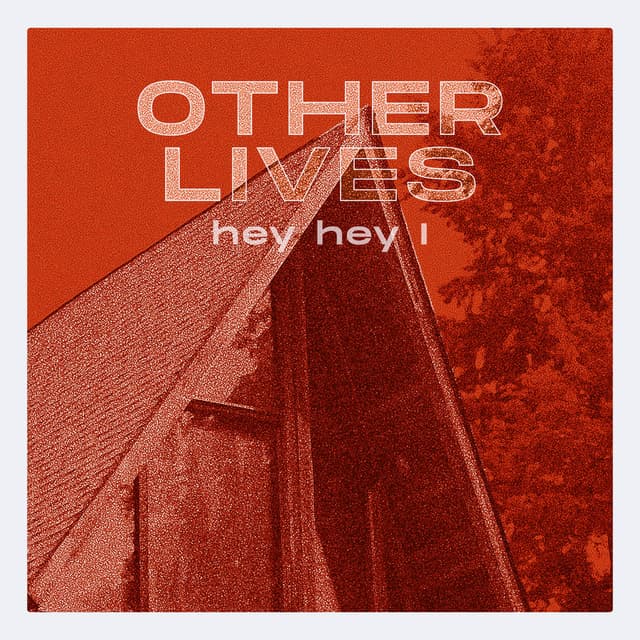 Hey Hey I cover