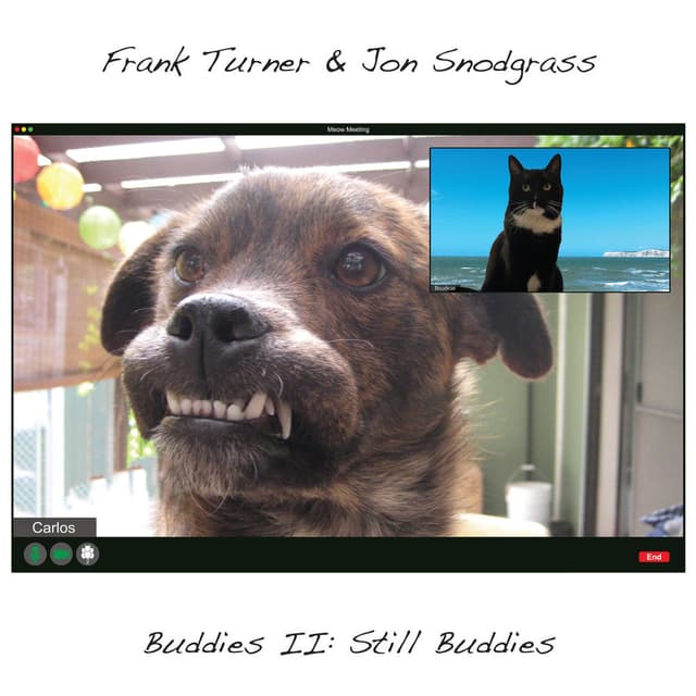 Buddies II: Still Buddies cover
