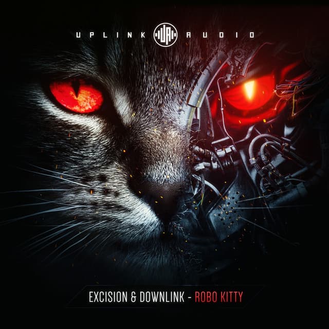 Robo Kitty cover