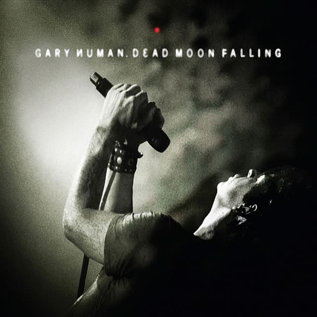 Dead Moon Falling cover