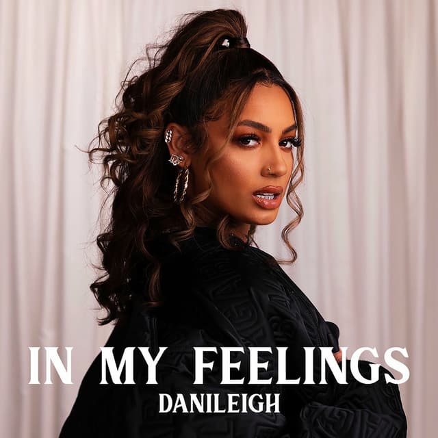 In My Feelings cover
