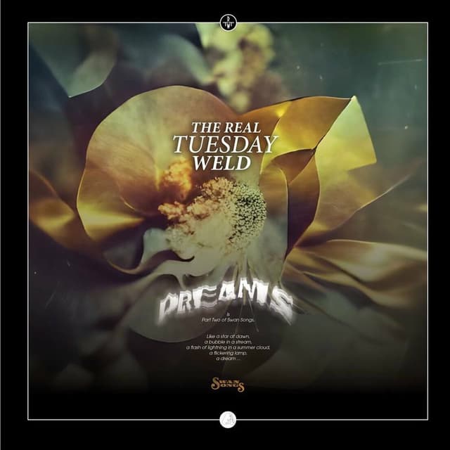 Dreams cover