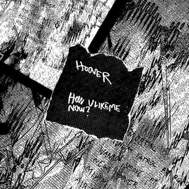 Hoover cover
