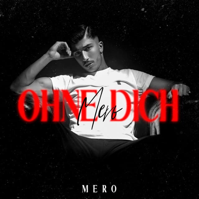 Ohne dich cover