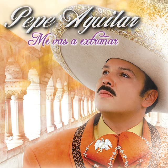 Me Vas A Extrañar cover