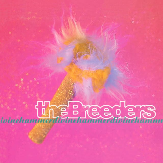 Divine Hammer album cover