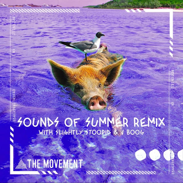 Sounds of Summer (Remix) cover