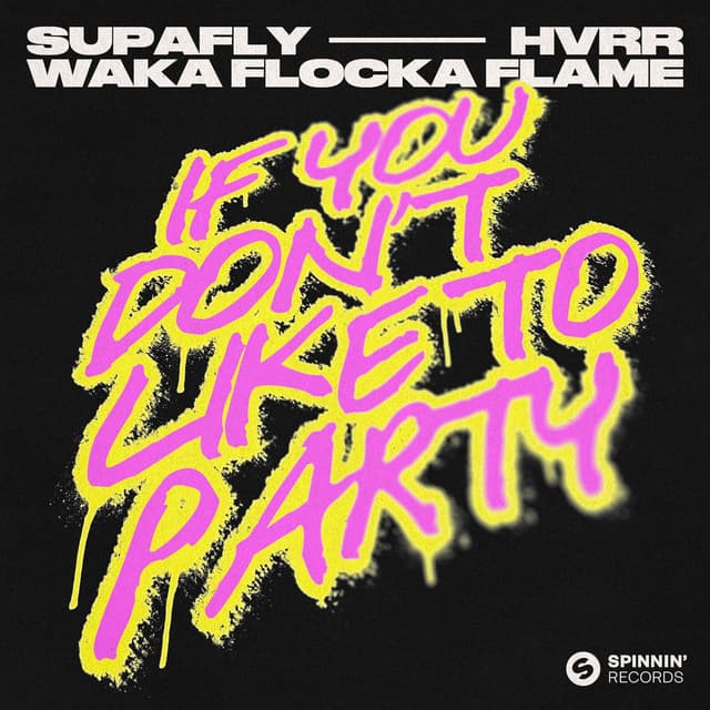 If You Don't Like To Party (Extended Mix) cover