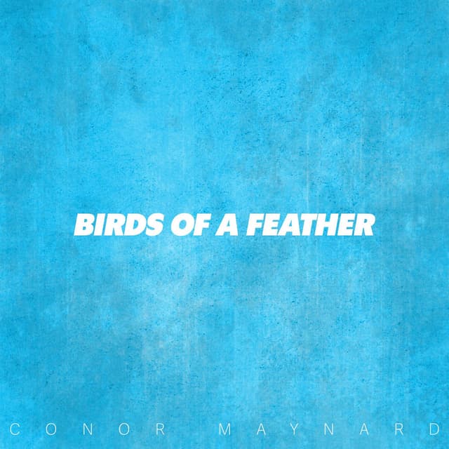 Birds Of A Feather cover