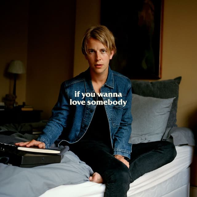 If You Wanna Love Somebody (Single Version) cover
