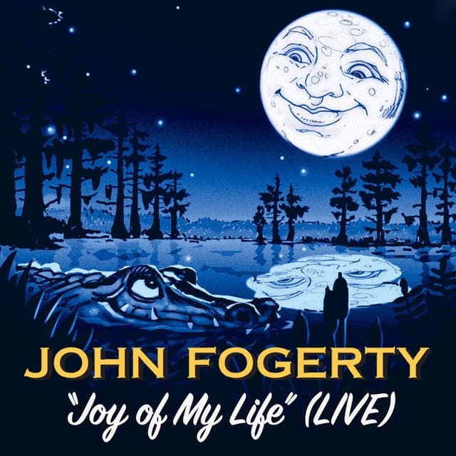 Joy Of My Life (Live) cover