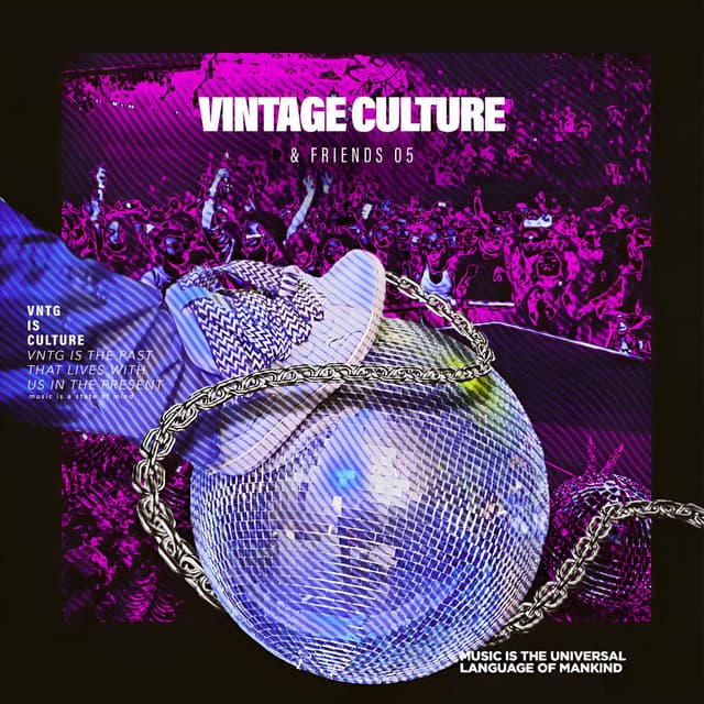 Vintage Culture & Friends, Vol. 5 cover
