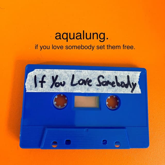 If You Love Somebody Set Them Free cover